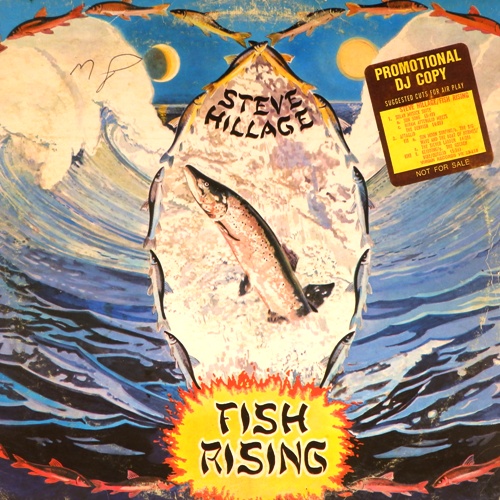 виниловая пластинка Fish Rising