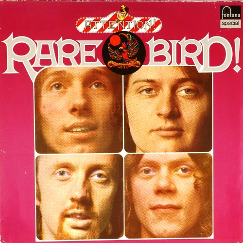 виниловая пластинка Attention! Rare Bird!