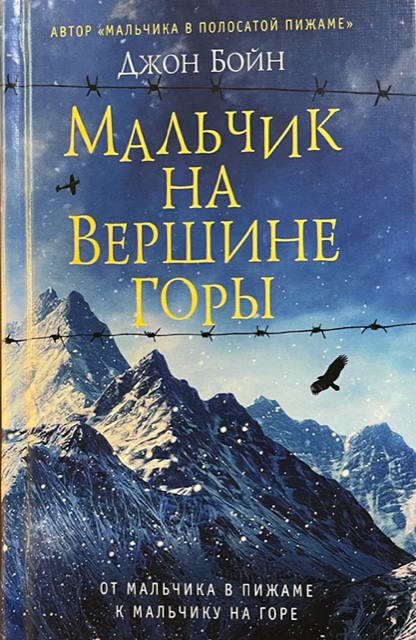 книга Мальчик на вершине горы