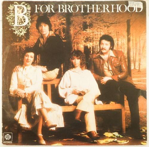 виниловая пластинка B for Brotherhood