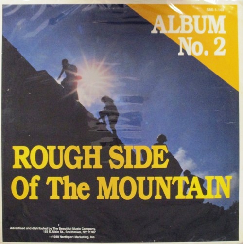 виниловая пластинка Rough Side Of The Mountain, Album No. 2